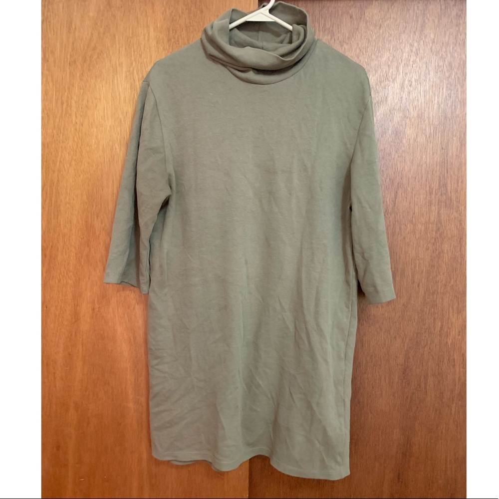 Zara Turtleneck Sweatshirt Dress